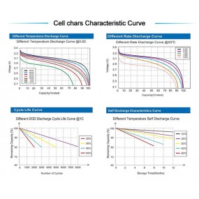 RoyPow Litium 12V 90Ah